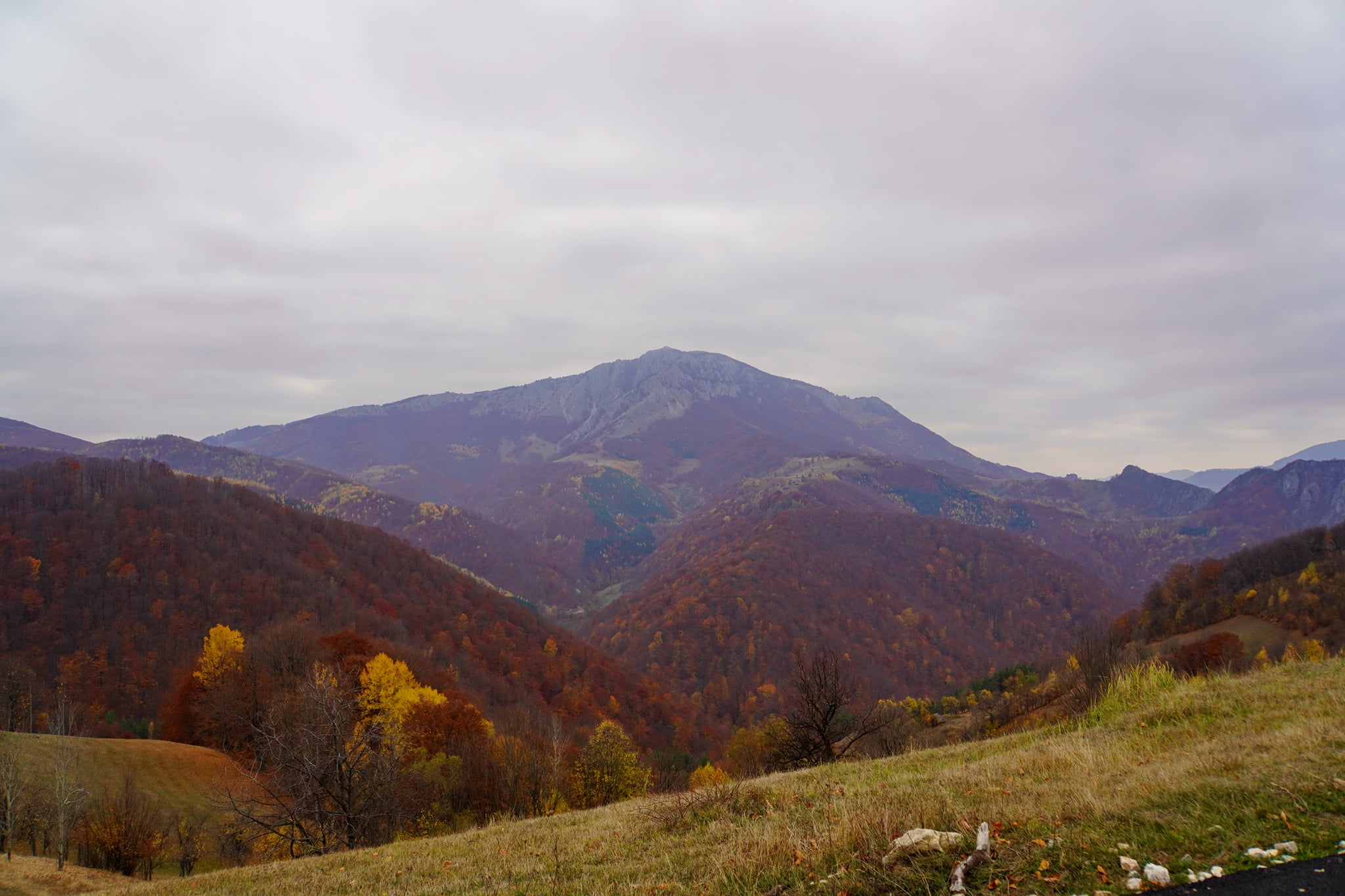  vârful lui Stan - Adrian Vintila