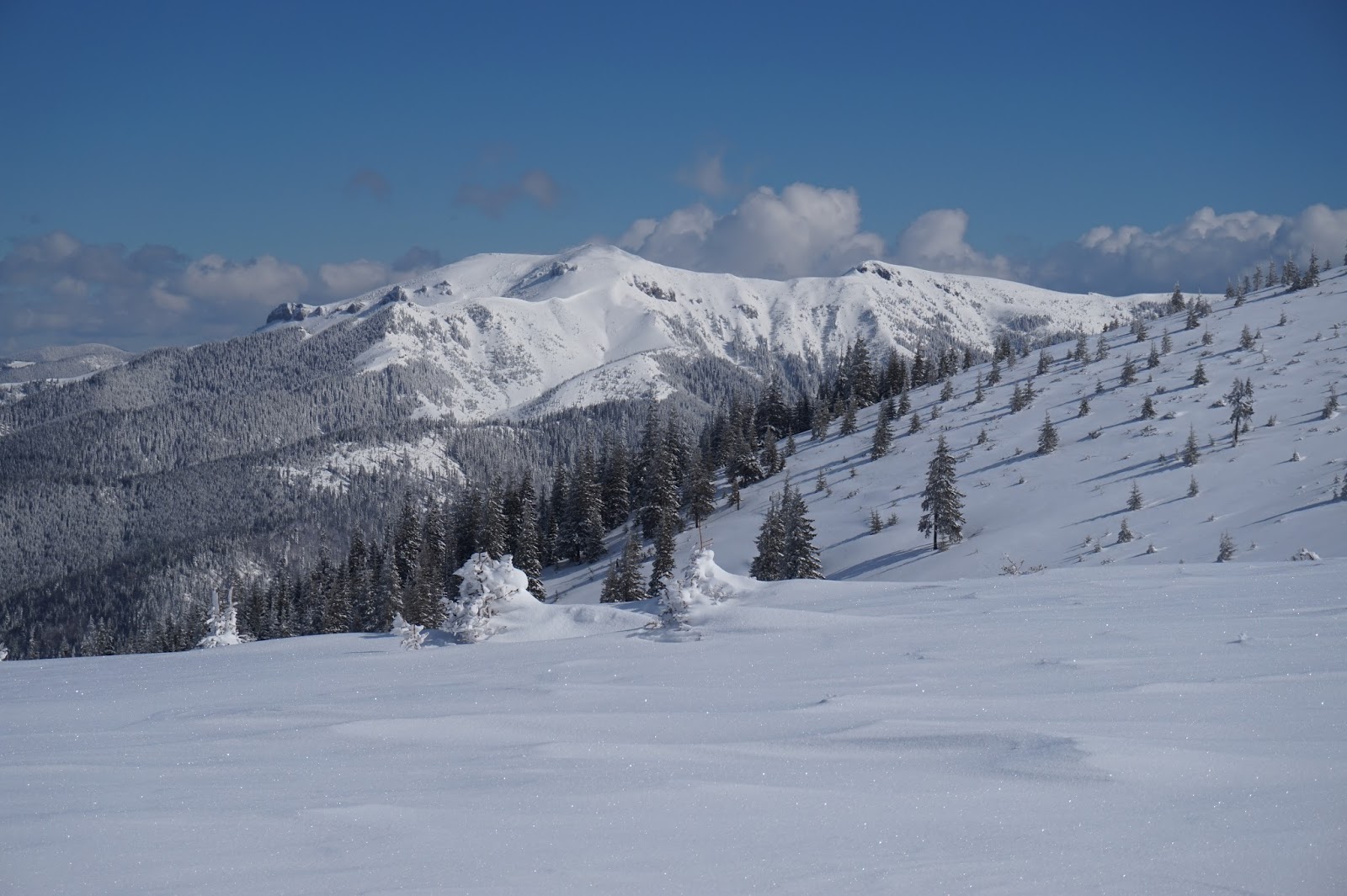  Vedere spre Cearcănul, munții Maramureșului - Alina Cîrja