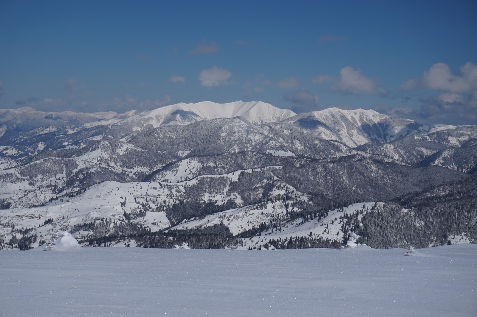  Vedere spre Toroiaga - Alina Cîrja