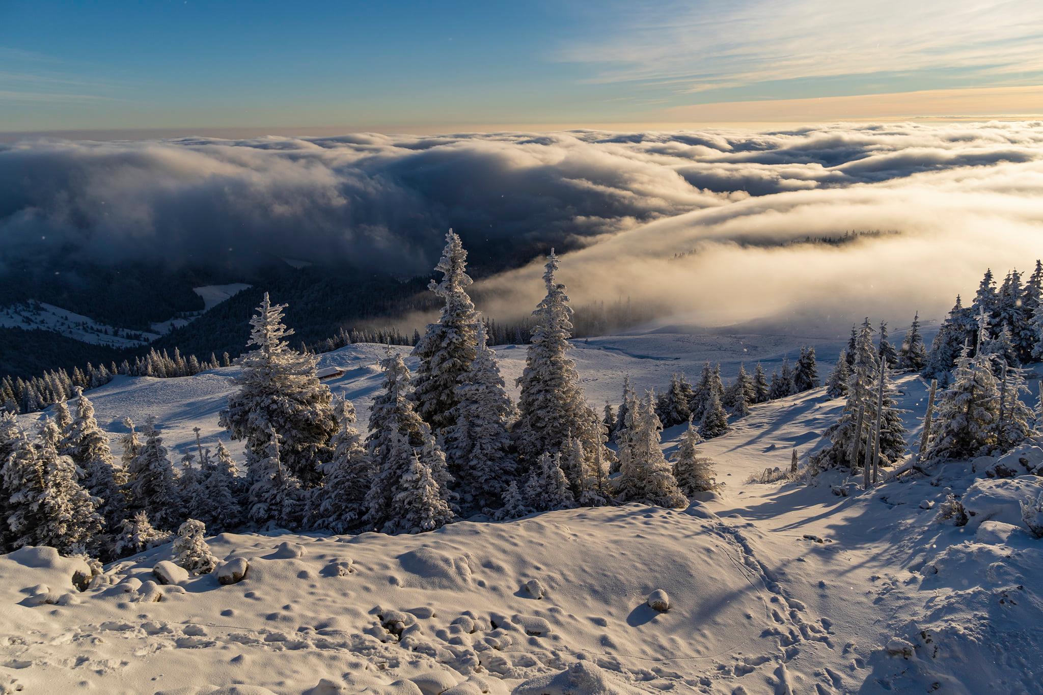  Vedere spre Valea Moldovei - Andrei Pahomi