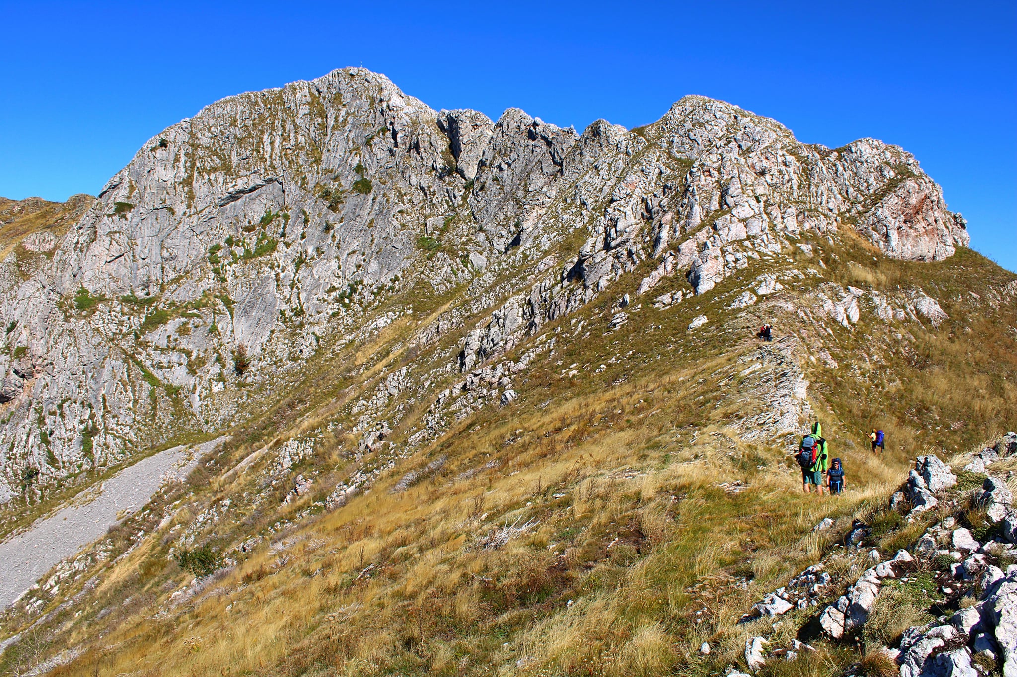  Vf. Biliana și Zascoul Arjaneil - Sima Constantin