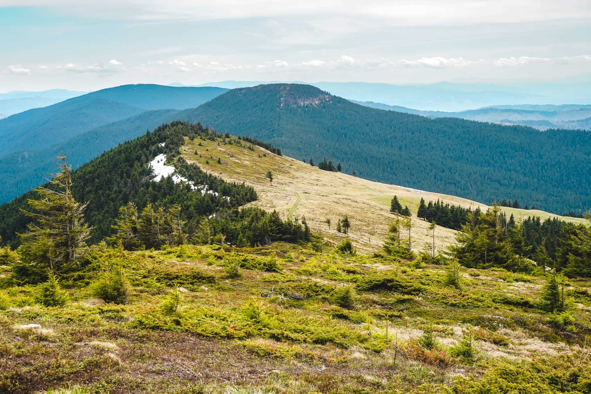  Vf. Nemira Mică vîzut de sub Nemira Mare - Alexandra Puscasu