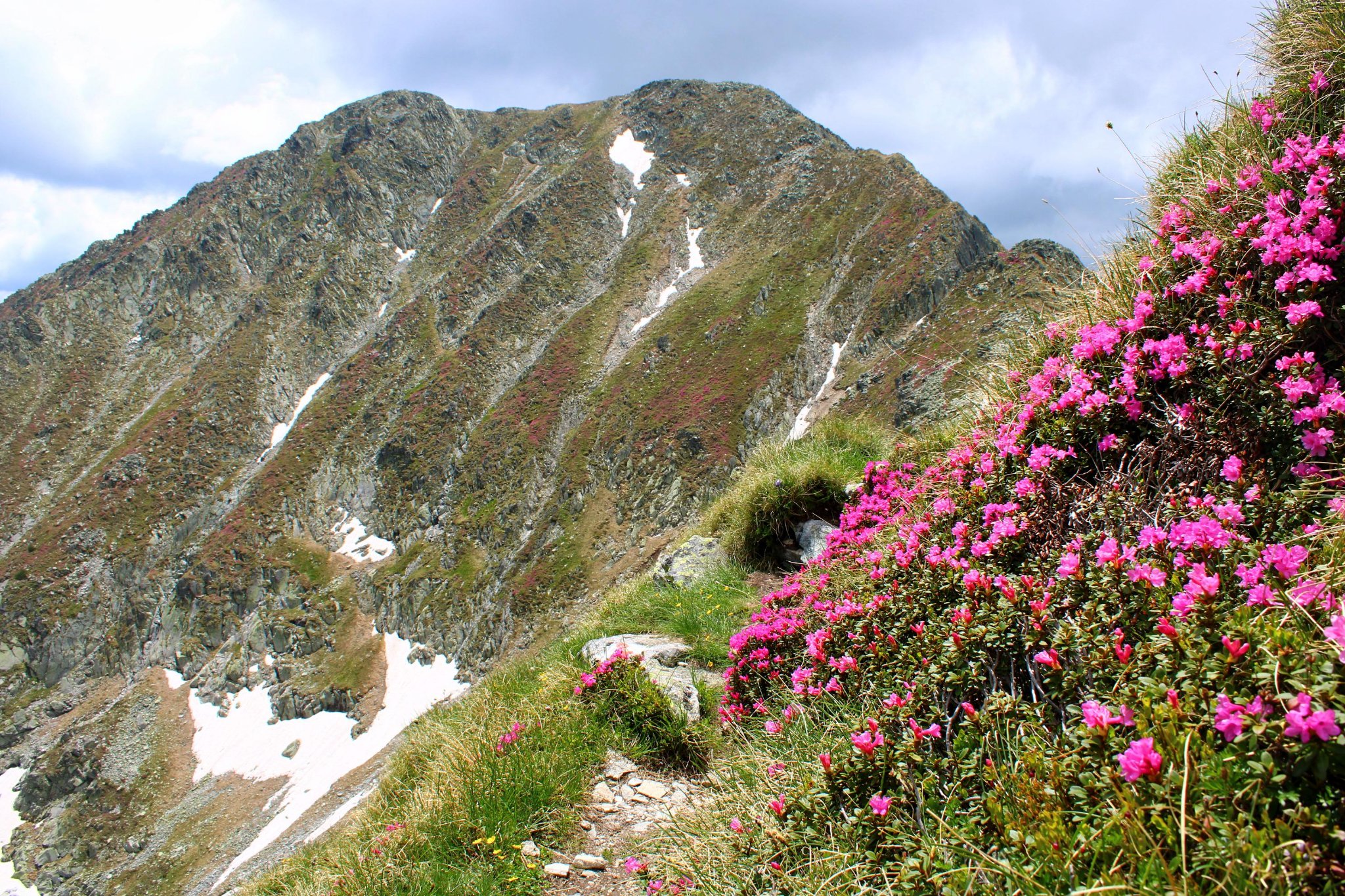  Vf. Păpușa - Sima Constantin