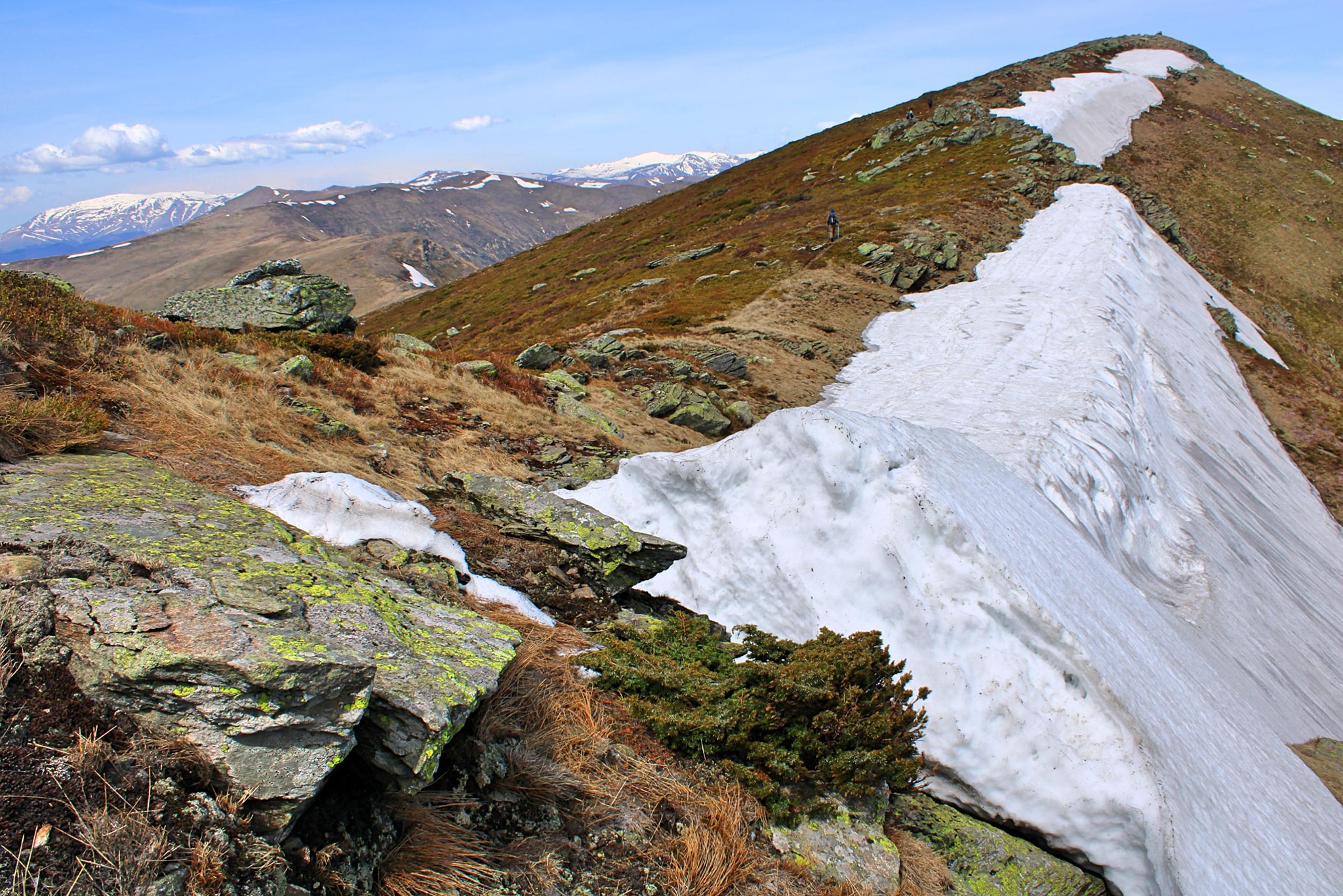  Vf. Vlașcu Mic - Sima Constantin